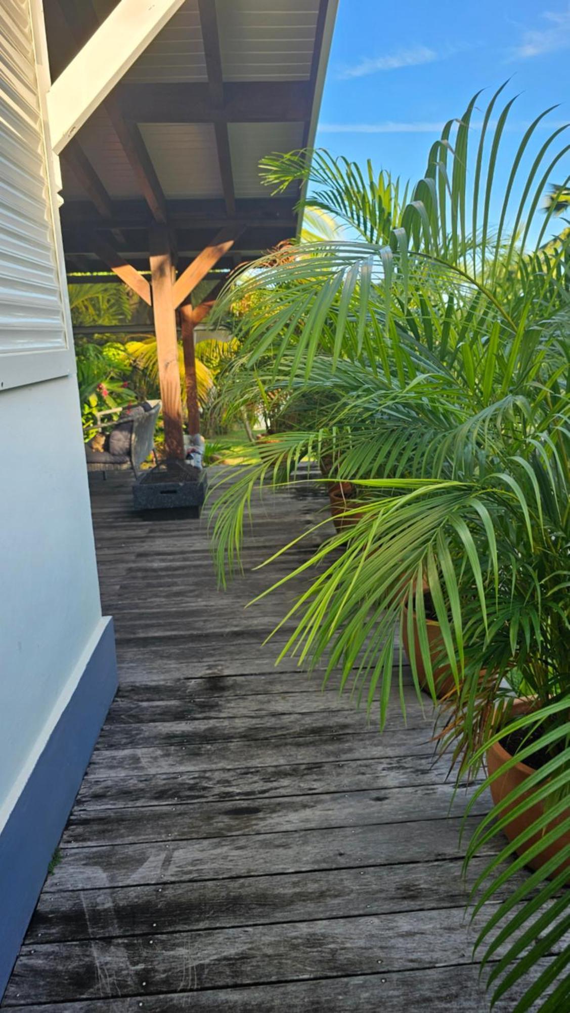 Habitation Villa Les Cassias Petit-Bourg Exterior photo